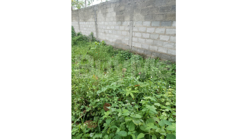 land-for-sale-in-habaraduwa-big-3