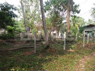 LAND FOR SALE IN YAKKALA