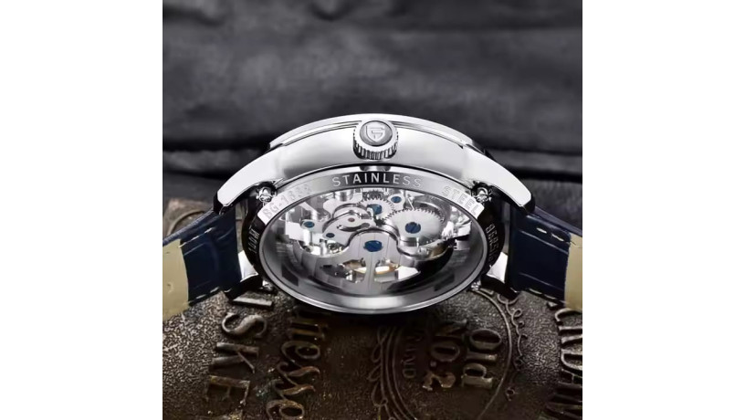 pagani-pd-1638-skeleton-leather-watch-big-1