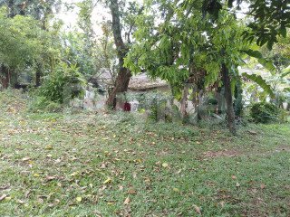 LAND FOR SALE IN HOMAGAMA