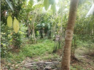 LAND FOR SALE IN AHANGAMA