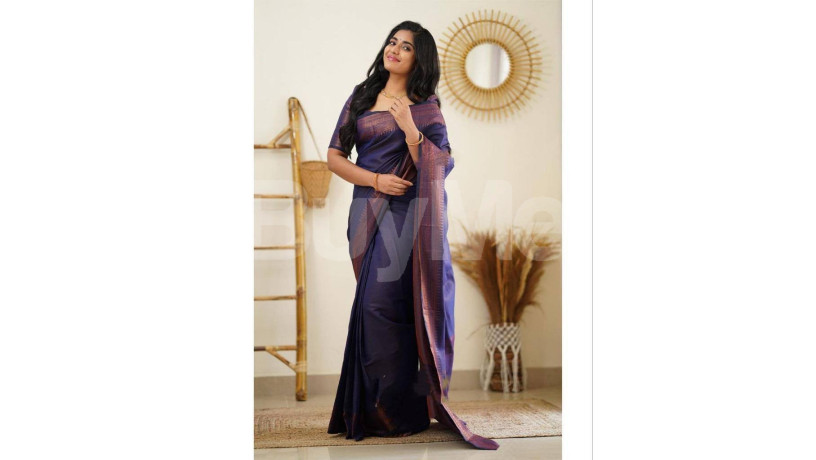 rich-pallu-saree-big-0