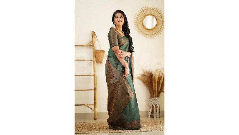 rich-pallu-saree-big-0