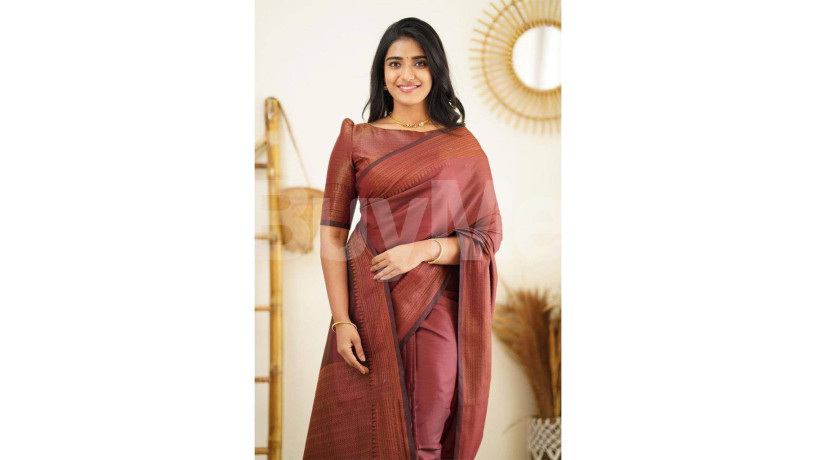 rich-pallu-saree-big-0