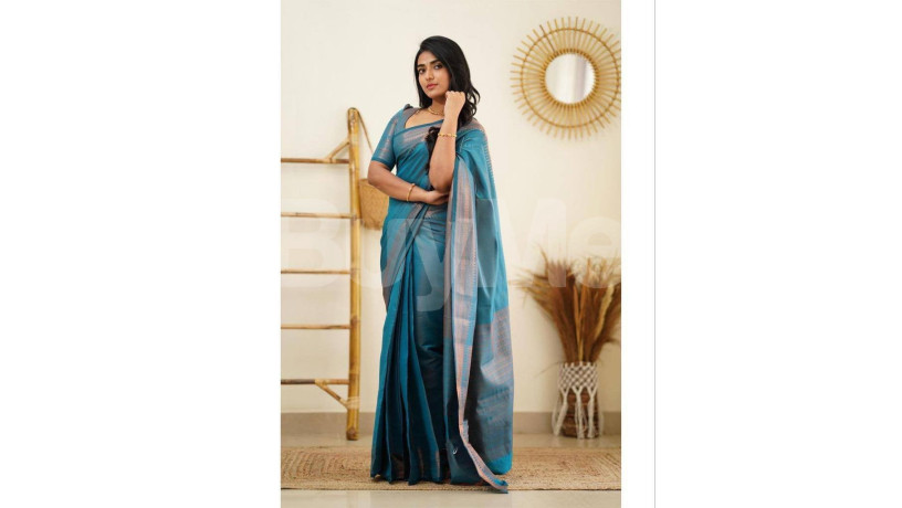 rich-pallu-saree-big-0