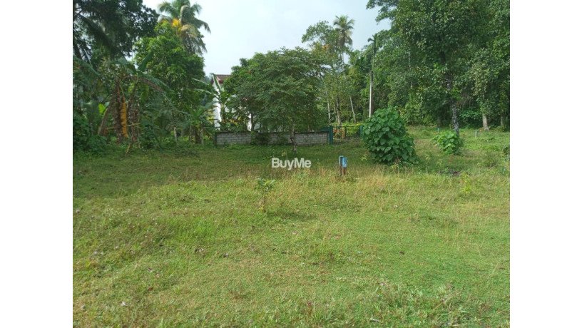 land-for-sale-in-ambaraluwa-rd-weliweriya-big-2