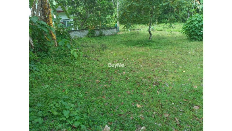 land-for-sale-in-ambaraluwa-rd-weliweriya-big-0