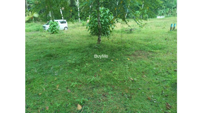 land-for-sale-in-ambaraluwa-rd-weliweriya-big-3