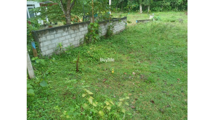 land-for-sale-in-ambaraluwa-rd-weliweriya-big-1