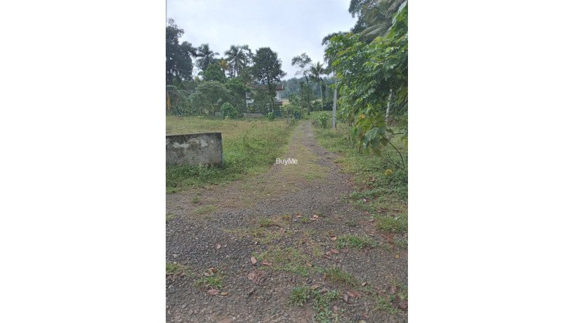 land-for-sale-in-ambaraluwa-rd-weliweriya-big-4