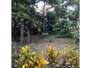 Valuable Residential Land For Sale in Godagama