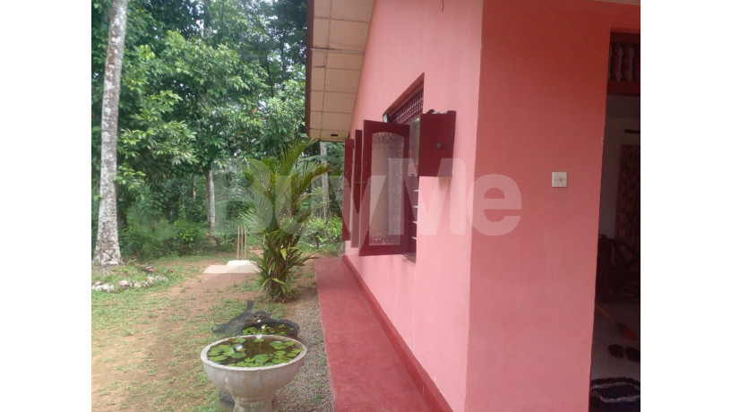 land-with-house-for-sale-in-horana-big-7