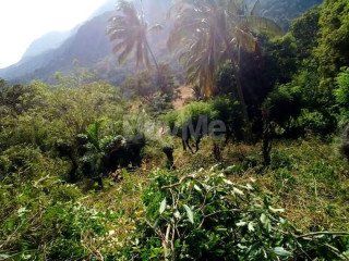 LAND FOR SALE IN RIVERSTON MATALE