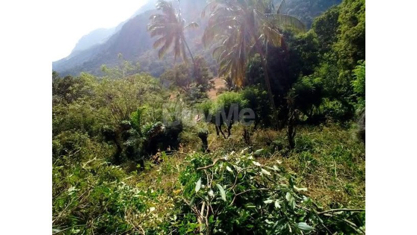 land-for-sale-in-riverston-matale-big-0