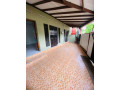 2-storey-house-for-sale-in-wattala-matagoda-small-2