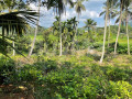 land-for-sale-in-meegahathenna-small-2
