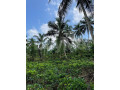 land-for-sale-in-meegahathenna-small-7