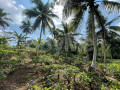 land-for-sale-in-meegahathenna-small-0