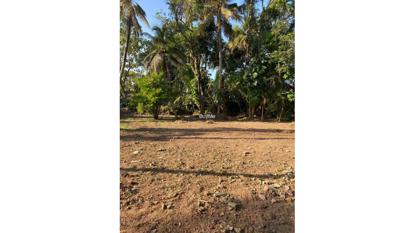 43-perches-land-for-sale-at-sirimal-uyana-rathmalana-big-1