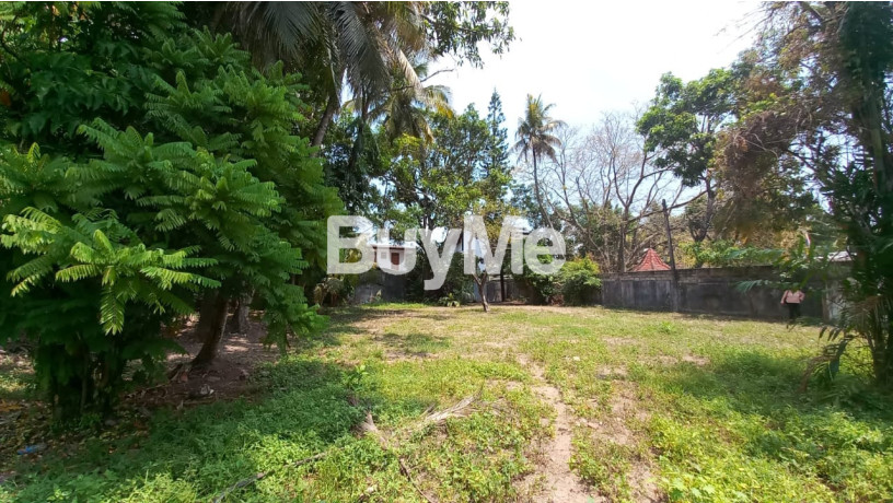 43-perches-land-for-sale-at-sirimal-uyana-rathmalana-big-3