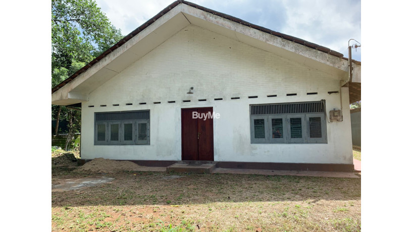 a-house-with-a-large-garden-accompanying-precious-trees-for-sale-in-yakkala-gampaha-big-0