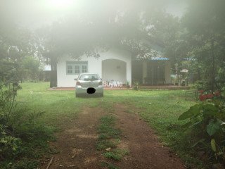 LAND & HOUSE FOR SALE IN GONAPALA