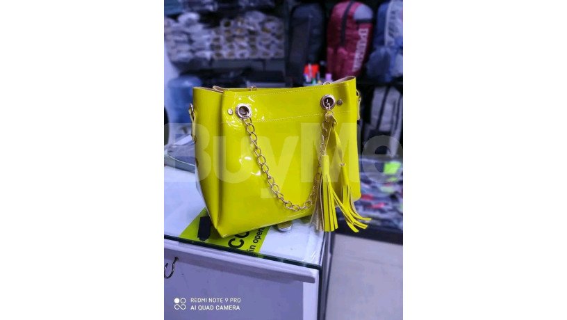 ladies-handbag-big-0