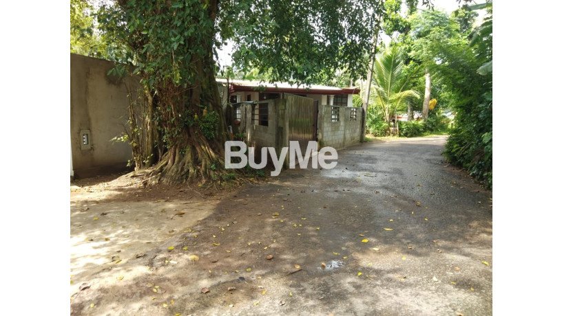 precious-land-for-sale-in-bandaragama-medagama-big-4