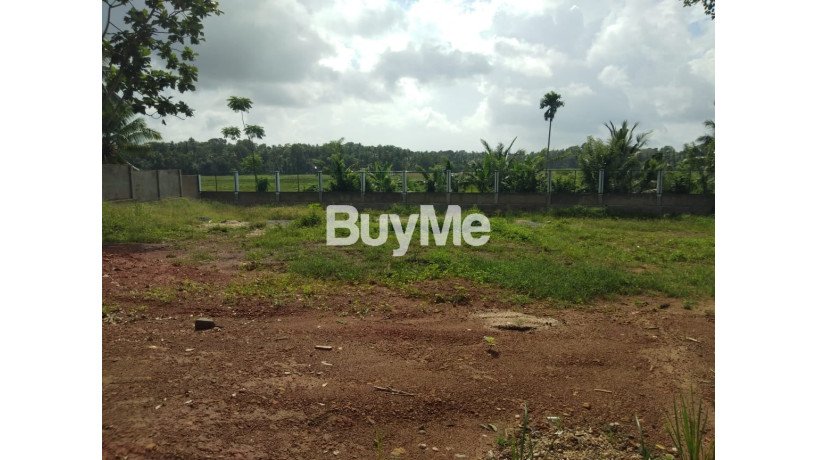 precious-land-for-sale-in-bandaragama-medagama-big-2