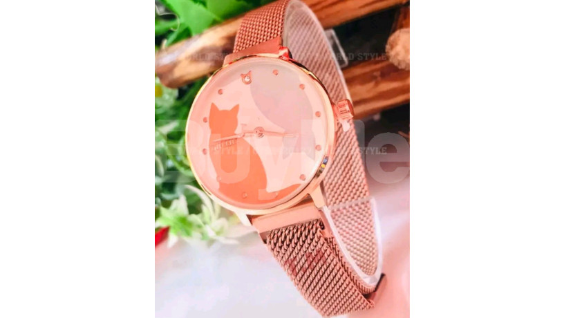 magnet-design-ladies-watch-big-0