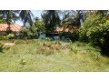 land-for-sale-in-mannar-small-1