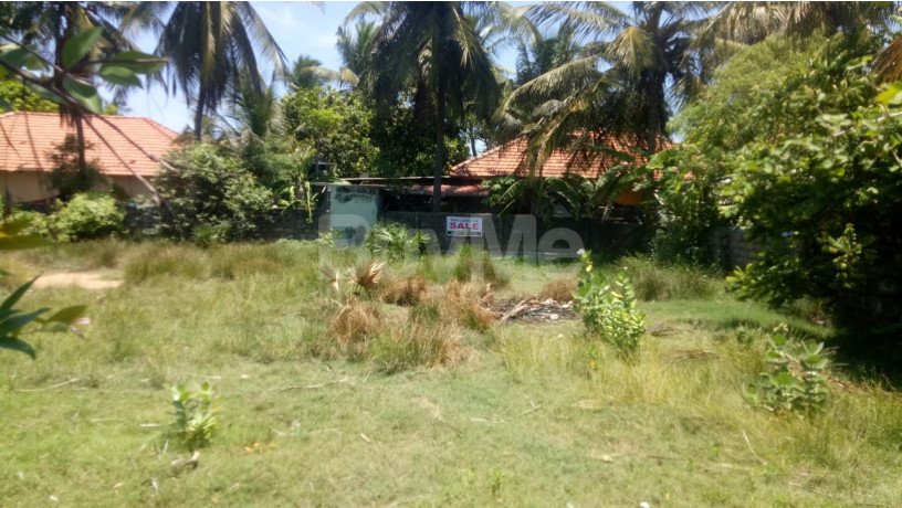 land-for-sale-in-mannar-big-1