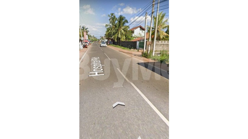 land-for-sale-in-mannar-big-4