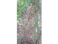 land-for-sale-in-alawwa-kurunegala-small-2