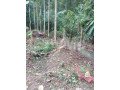 land-for-sale-in-alawwa-kurunegala-small-1