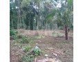 land-for-sale-in-alawwa-kurunegala-small-3