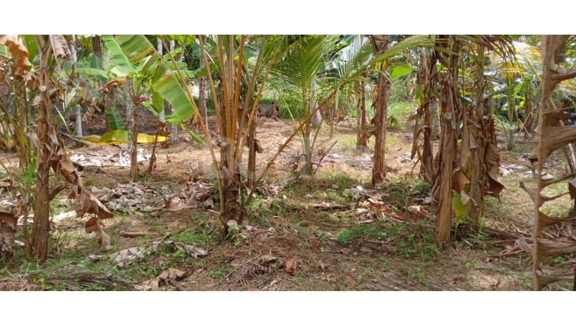 land-for-sale-in-gampaha-big-4