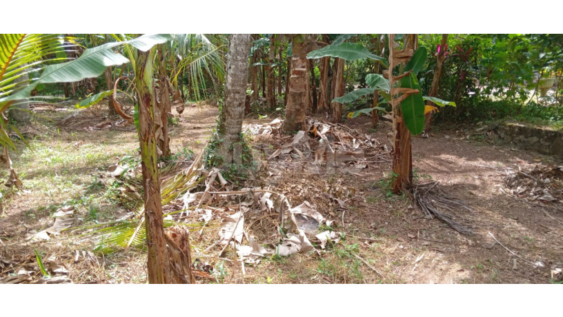 land-for-sale-in-gampaha-big-3