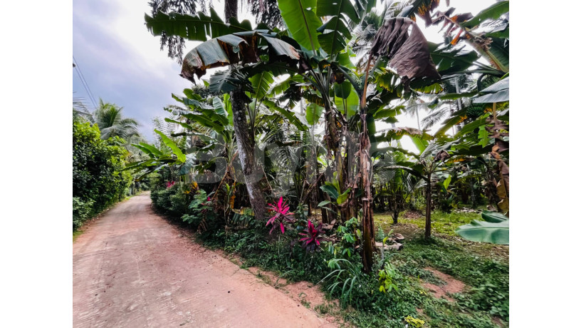 land-for-sale-in-gampaha-big-0