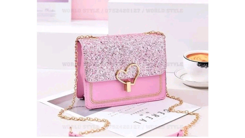 ladies-wallet-big-0
