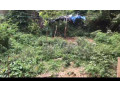 land-for-sale-in-katugastota-small-3