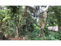 land-for-sale-in-katugastota-small-4