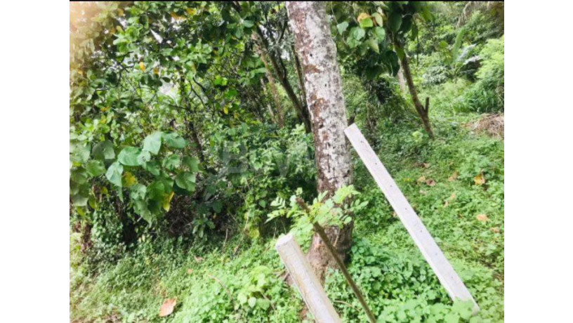 land-for-sale-in-katugastota-big-5