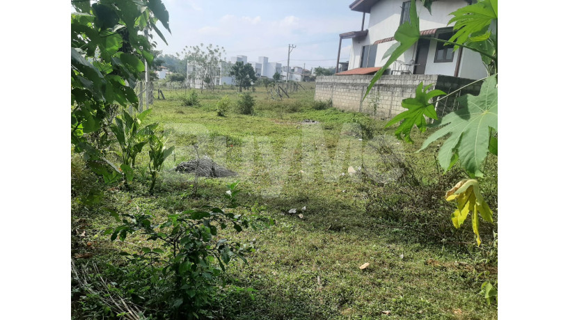land-for-sale-in-horana-big-4