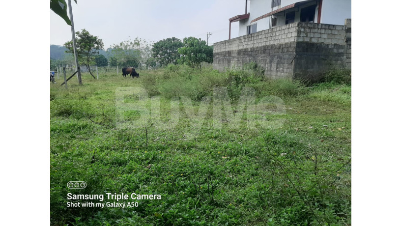 land-for-sale-in-horana-big-0