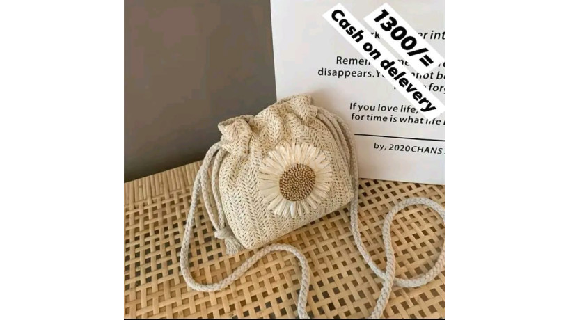 mini-handbag-big-0