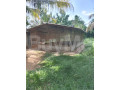 land-for-sale-in-kurunegala-small-4