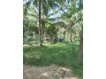 land-for-sale-in-kurunegala-small-3
