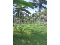 land-for-sale-in-kurunegala-small-7