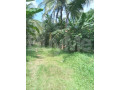land-for-sale-in-kurunegala-small-1